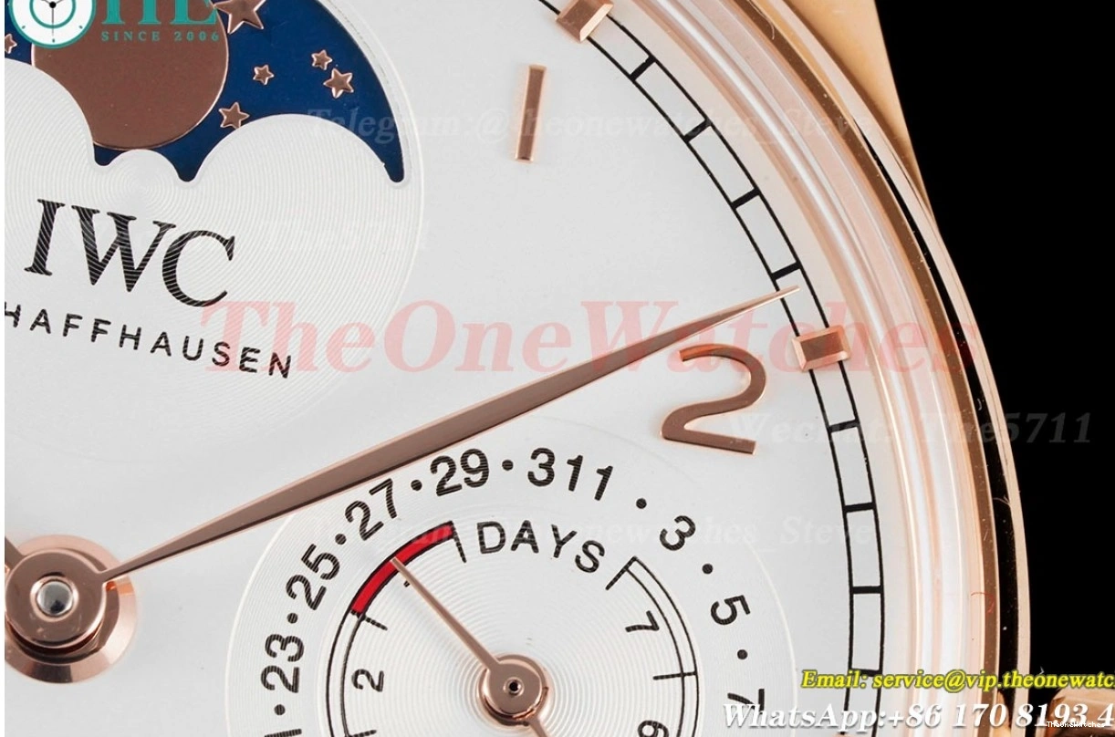 RG Dial Calendar Perpetual LE Portugieser 5033 42mm White APSF A52010 0125